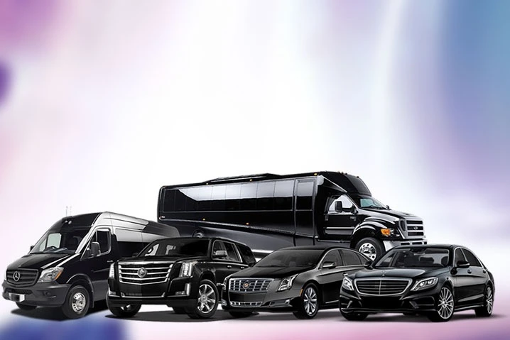 wedding-shuttle
